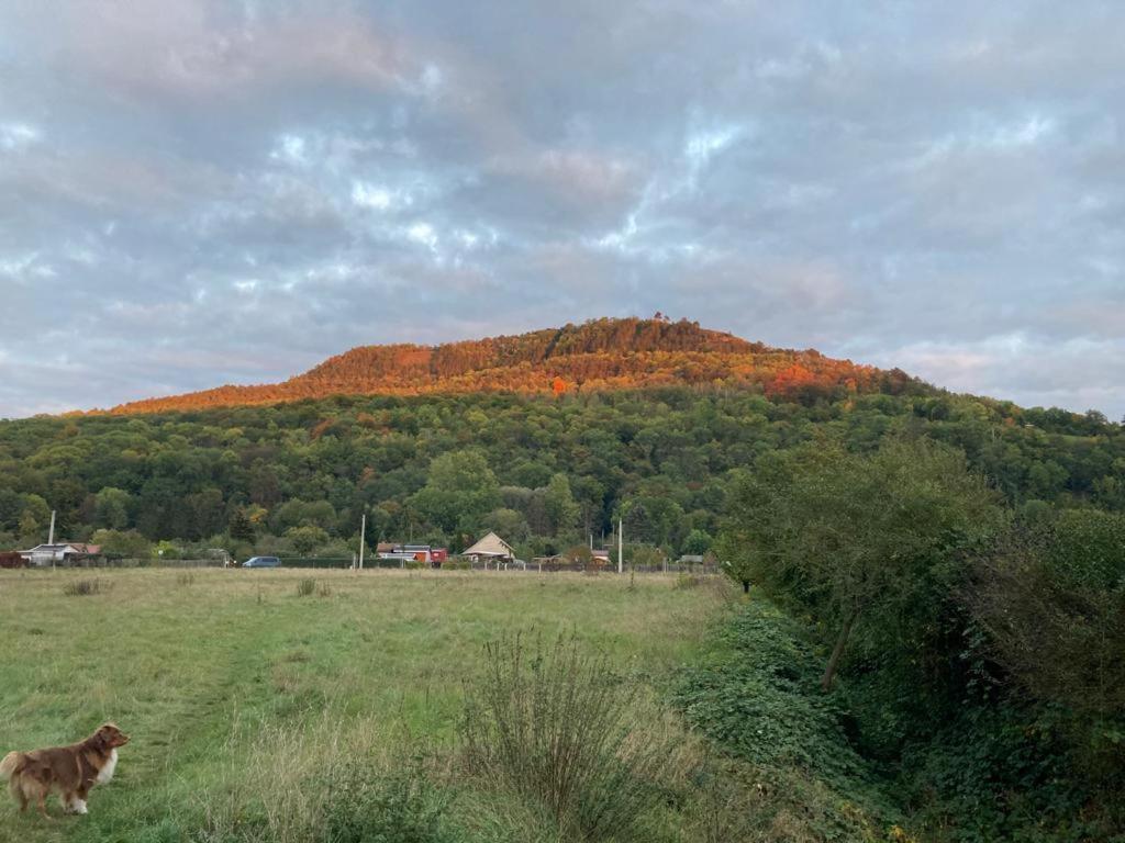 Jena Paradies Экстерьер фото